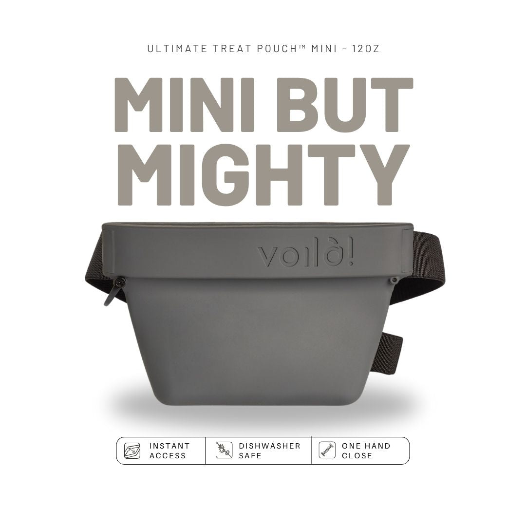 Mini Ultimate Treat Pouch - 12oz