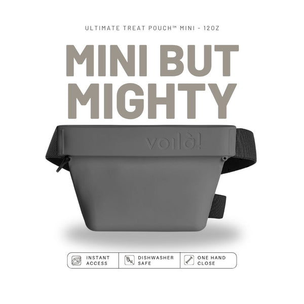 Mini Ultimate Treat Pouch — Compact, Spill-Guard Design