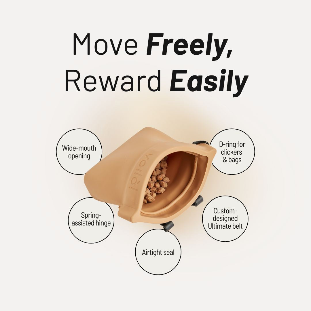 Sealable Ultimate Treat Pouch — Airtight, Freshness Preserved