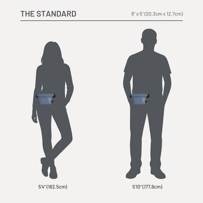The Standard